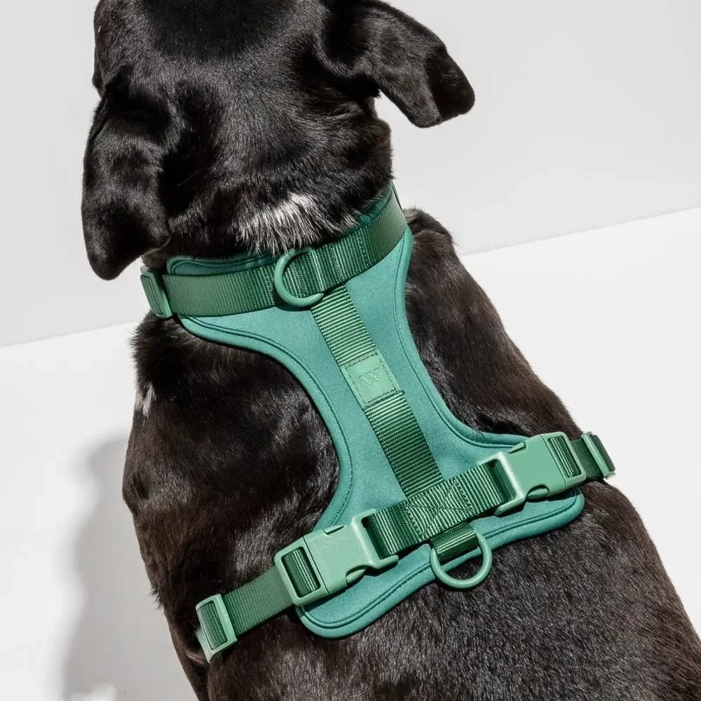 Wild One Adjustable Cushioned Dog Harness - Spruce - Small